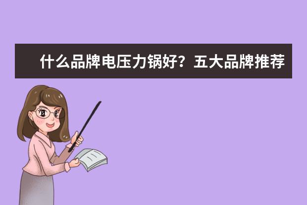什么品牌电压力锅好？五大品牌推荐