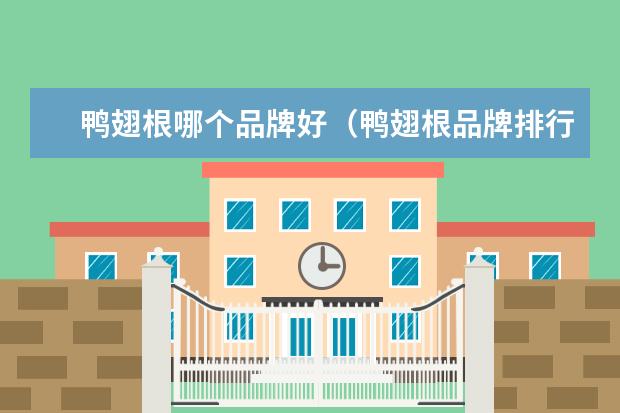 鸭翅根哪个品牌好（鸭翅根品牌排行榜）