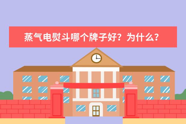 蒸气电熨斗哪个牌子好？为什么？