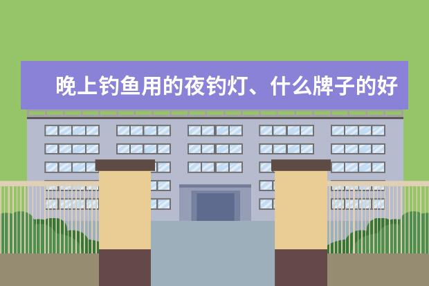 晚上钓鱼用的夜钓灯、什么牌子的好？谢谢！