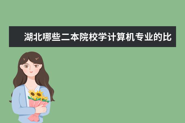 湖北哪些二本院校学计算机专业的比较好？