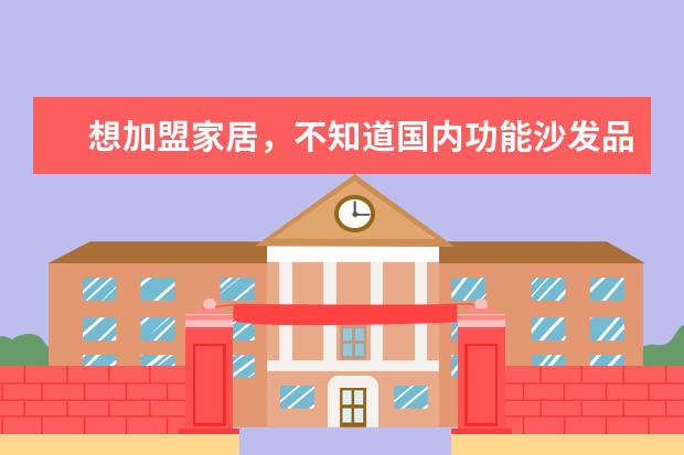 想加盟家居，不知道国内功能沙发品牌哪个好？