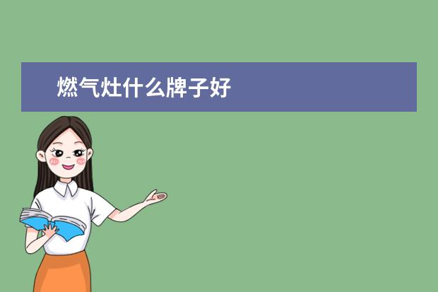 燃气灶什么牌子好