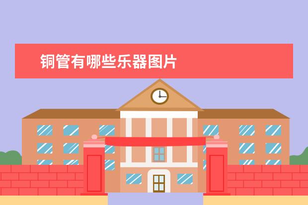 铜管有哪些乐器图片