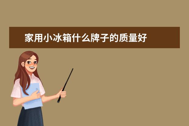 家用小冰箱什么牌子的质量好