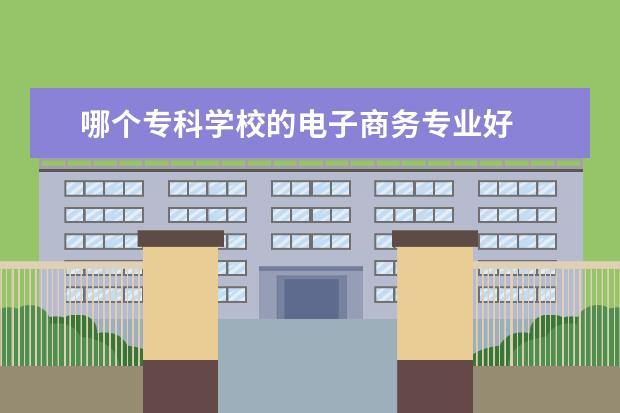 哪个专科学校的电子商务专业好
