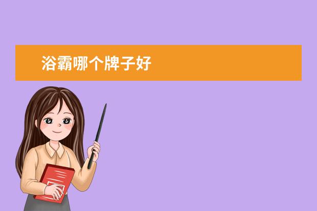 浴霸哪个牌子好