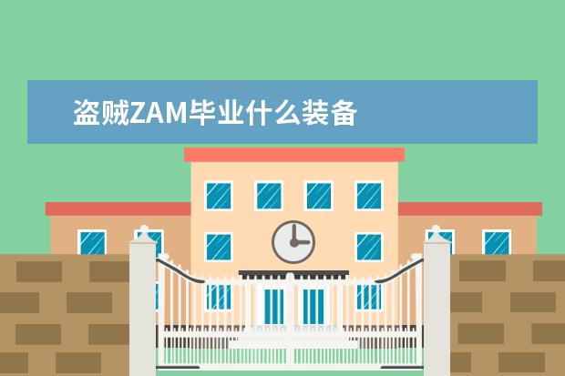 盗贼ZAM毕业什么装备