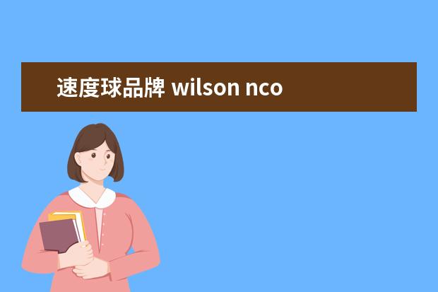 速度球品牌 wilson ncode f1羽拍市面上报价多少,适合新手么 - ...