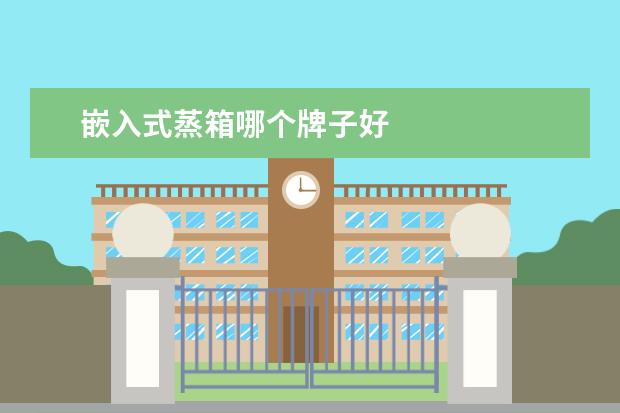 嵌入式蒸箱哪个牌子好