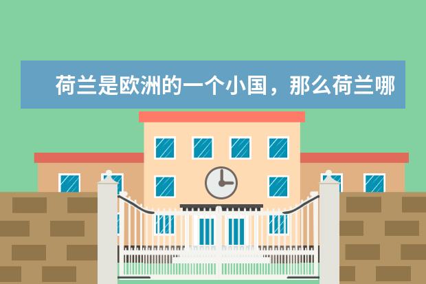 荷兰是欧洲的一个小国，那么荷兰哪些大学排名在国内前十？
