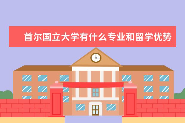 首尔国立大学有什么专业和留学优势