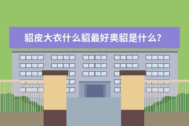 貂皮大衣什么貂最好奥貂是什么？