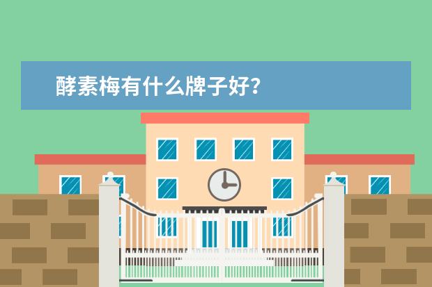 酵素梅有什么牌子好？