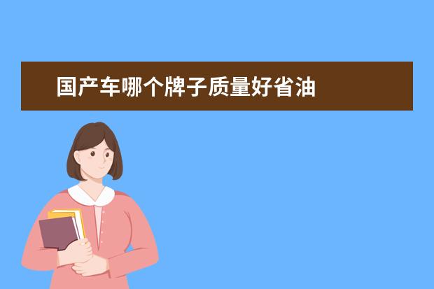 国产车哪个牌子质量好省油
