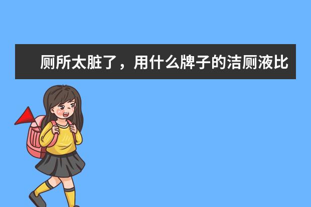 厕所太脏了，用什么牌子的洁厕液比较好？