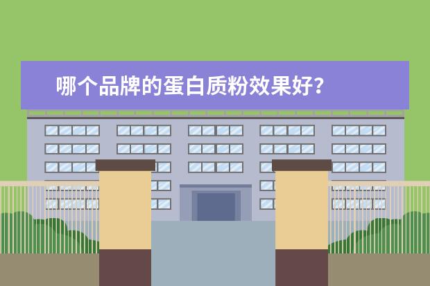 哪个品牌的蛋白质粉效果好？
