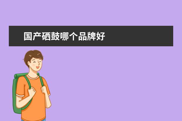 国产硒鼓哪个品牌好