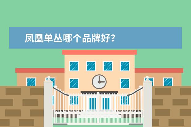 凤凰单丛哪个品牌好？