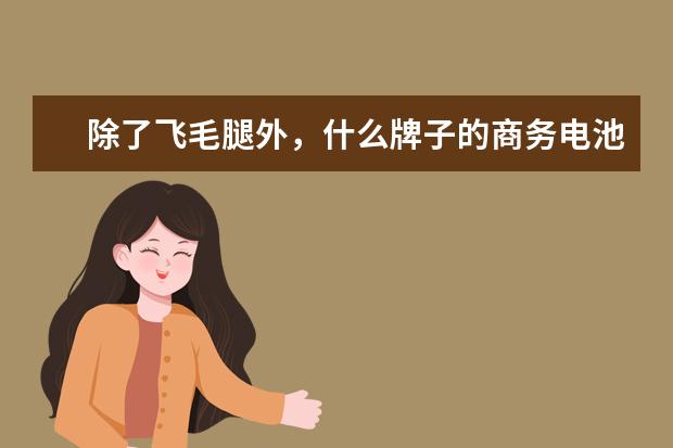 除了飞毛腿外，什么牌子的商务电池好；电池分哪几类？