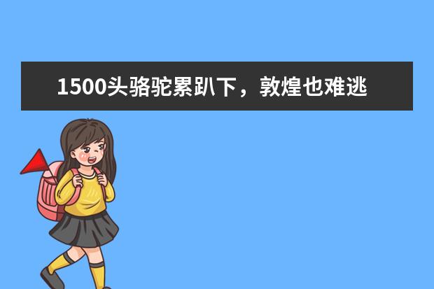 1500头骆驼累趴下，敦煌也难逃超负荷命运，景区应如何应对游客井喷？