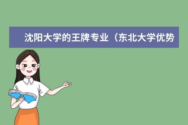 沈阳大学的王牌专业（东北大学优势专业排名）