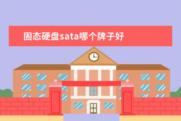 固态硬盘sata哪个牌子好