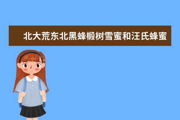 北大荒东北黑蜂椴树雪蜜和汪氏蜂蜜哪个好