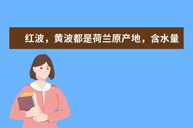 红波，黄波都是荷兰原产地，含水量差不多，有什么区别呢？