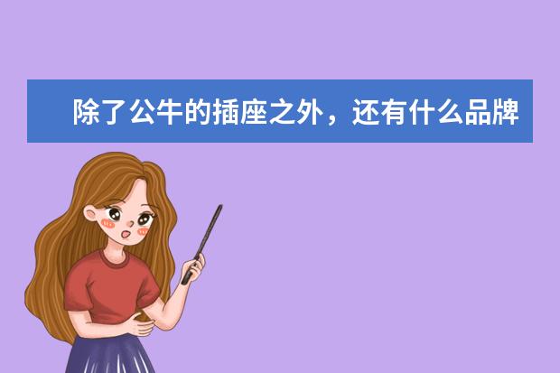 除了公牛的插座之外，还有什么品牌插座好用？
