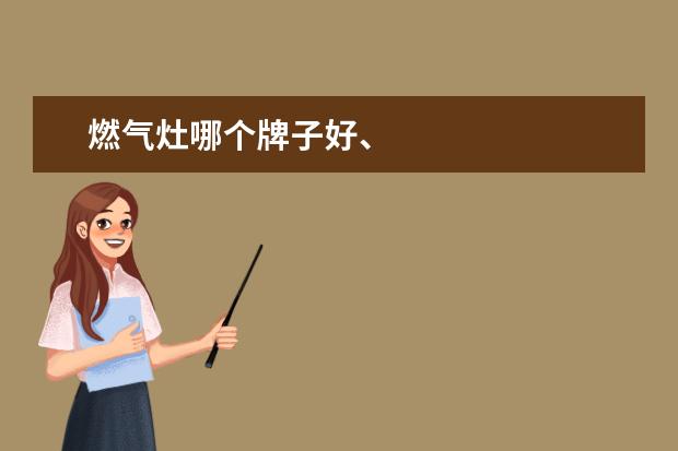燃气灶哪个牌子好、