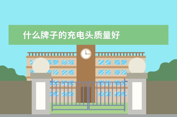 什么牌子的充电头质量好