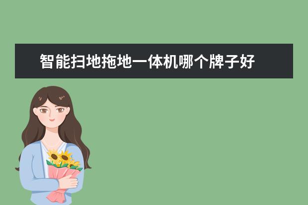 智能扫地拖地一体机哪个牌子好