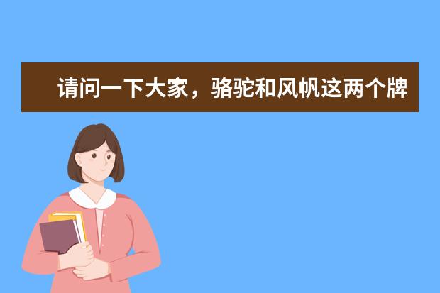 请问一下大家，骆驼和风帆这两个牌子汽车电瓶选哪个好一些？