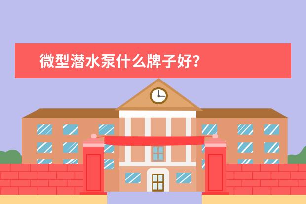微型潜水泵什么牌子好？