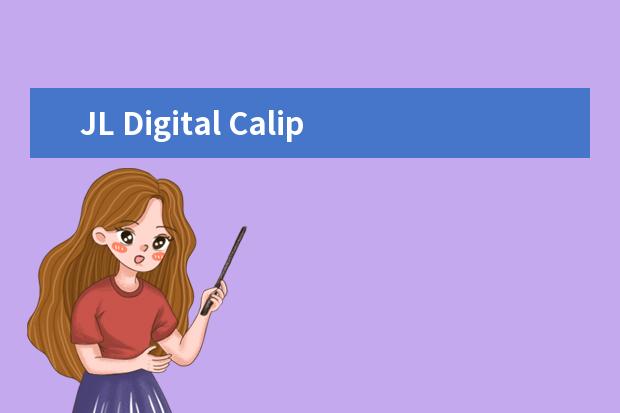 JL Digital Caliper 谁知道这个是什么牌子的数显卡尺？？