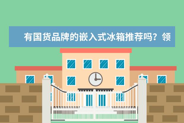 有国货品牌的嵌入式冰箱推荐吗？领厨这个牌子有人知道吗？