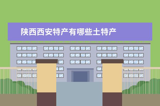陕西西安特产有哪些土特产