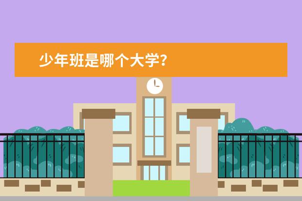 少年班是哪个大学？