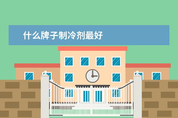 什么牌子制冷剂最好