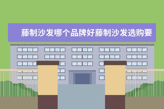 藤制沙发哪个品牌好藤制沙发选购要点