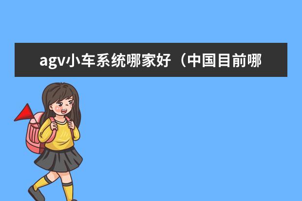agv小车系统哪家好（中国目前哪家AGV智能仓储做的好的）