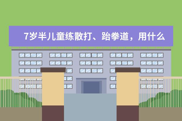 7岁半儿童练散打、跆拳道，用什么品牌、样式的落地沙袋好？