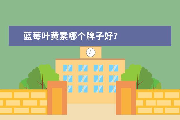 蓝莓叶黄素哪个牌子好？