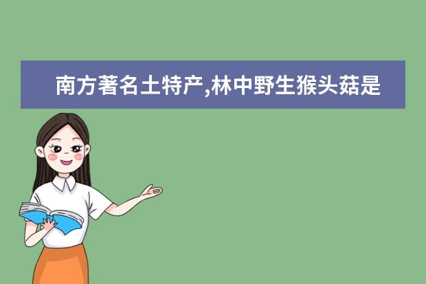 南方著名土特产,林中野生猴头菇是什么生肖