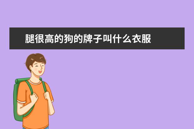 腿很高的狗的牌子叫什么衣服