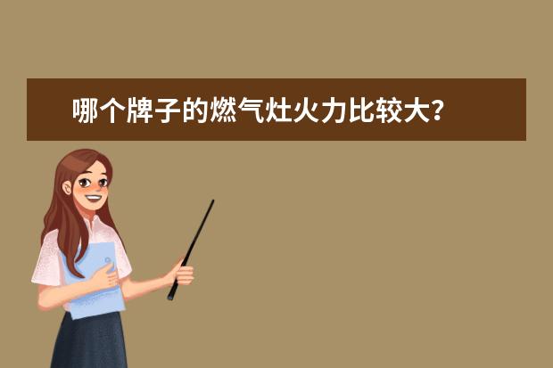 哪个牌子的燃气灶火力比较大？
