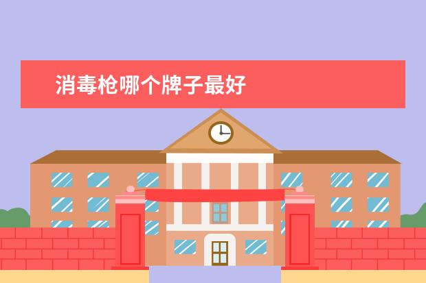 消毒枪哪个牌子最好