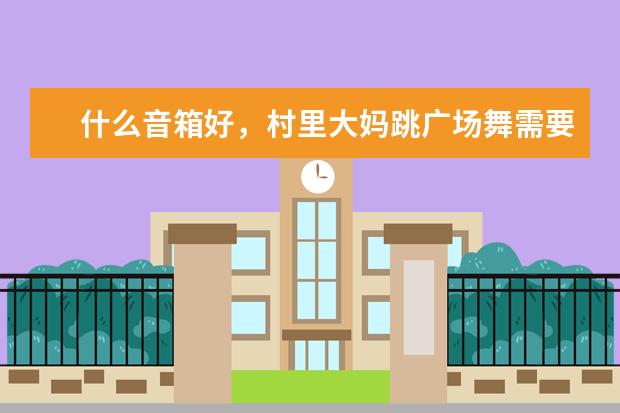 什么音箱好，村里大妈跳广场舞需要。价格在1000～1500左右的，望大家推荐一款。