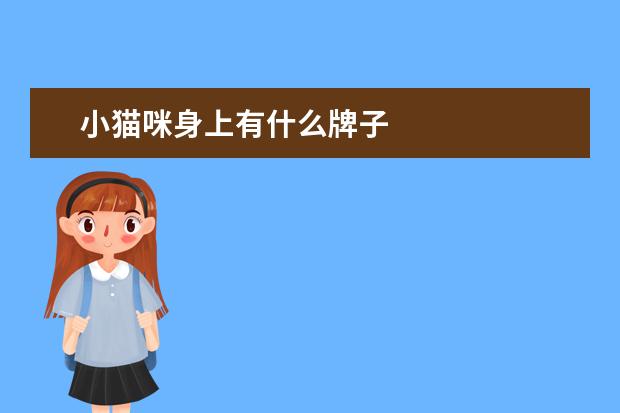 小猫咪身上有什么牌子